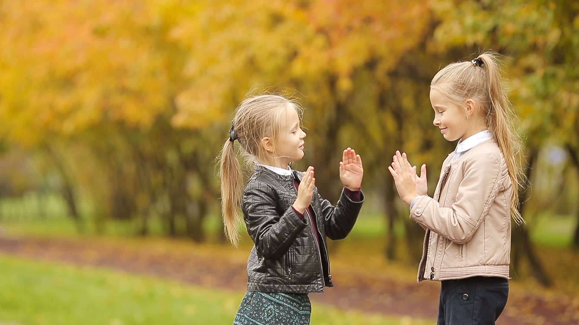 可爱的小女孩在秋天公园的温暖日子里玩得很开心视频的预览图