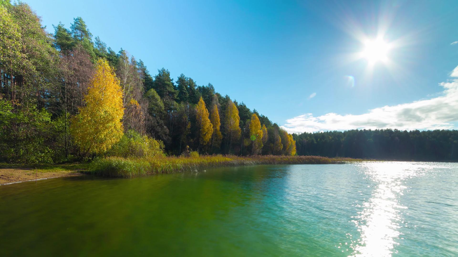 秋天森林和湖泊经过全景视频的预览图