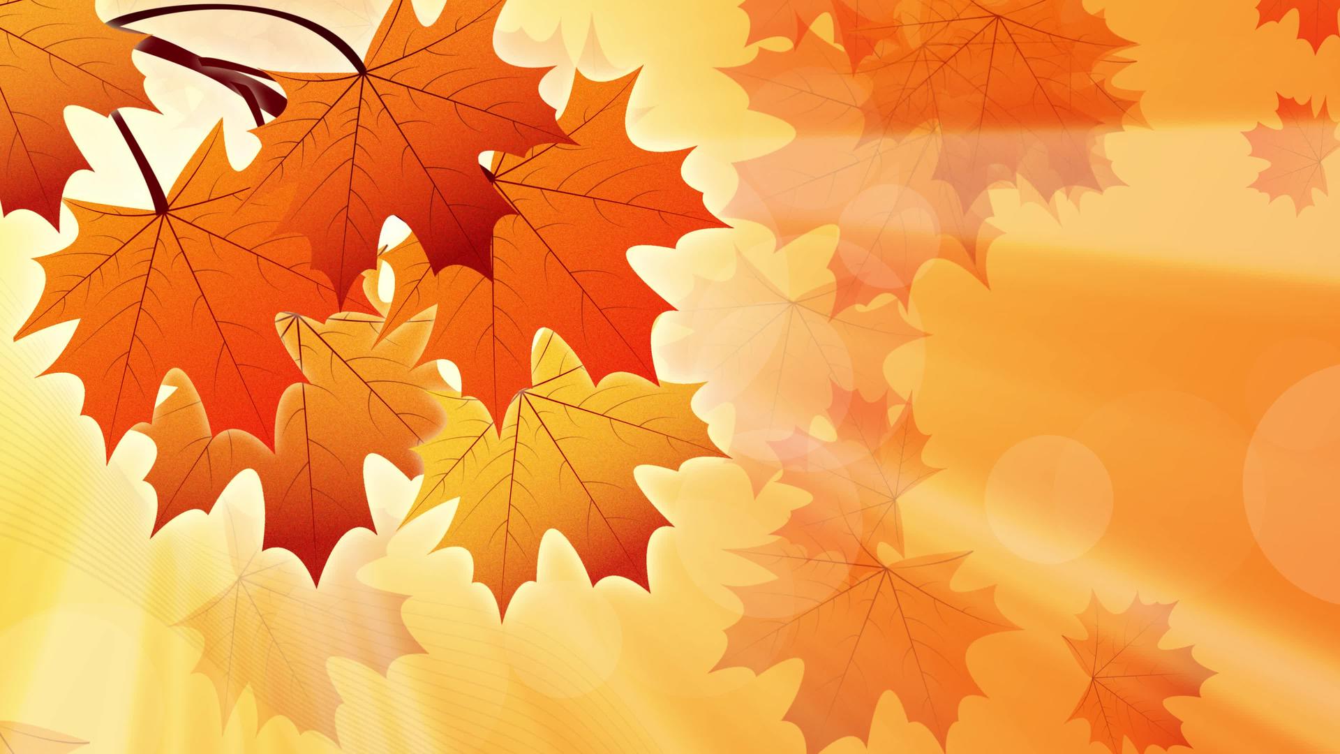 秋季背景平板动画4k枝叶和阳光视频的预览图
