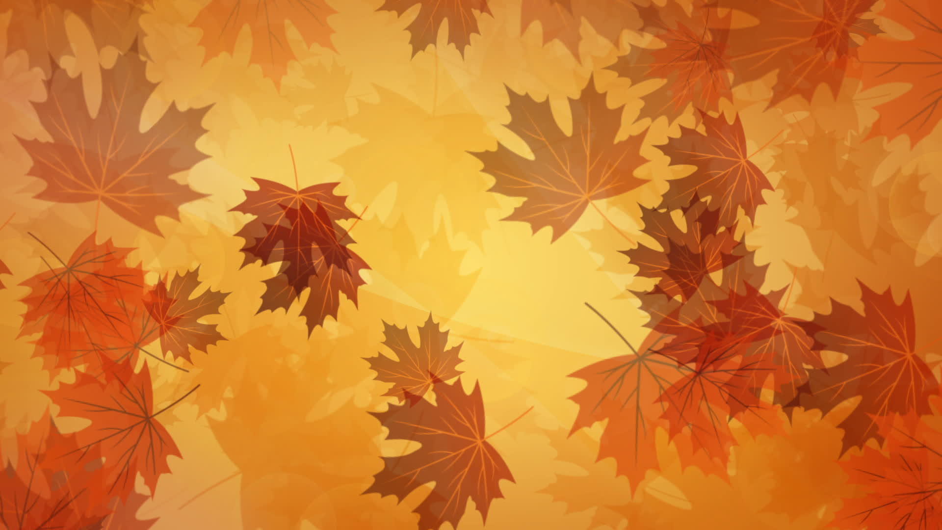 秋天的背景黄叶运动图形视频的预览图