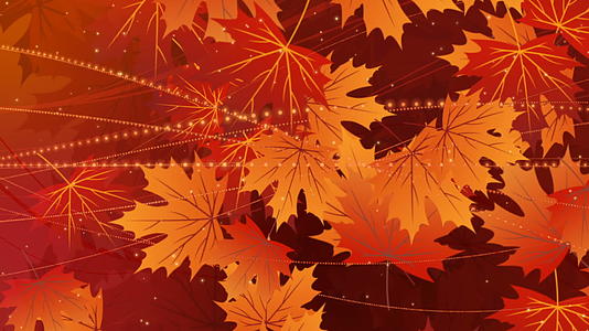秋天的背景有落叶运动形视频的预览图