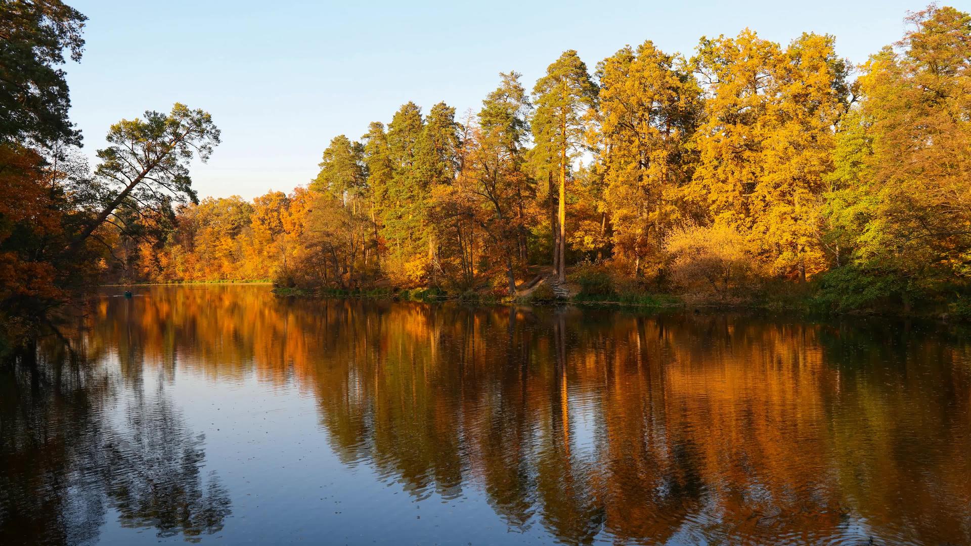 秋树在湖水表面的反射视频的预览图