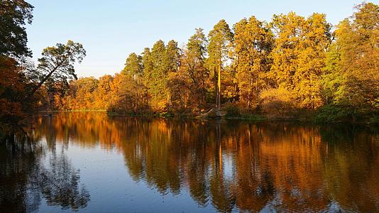 秋树在湖水表面的反射视频的预览图