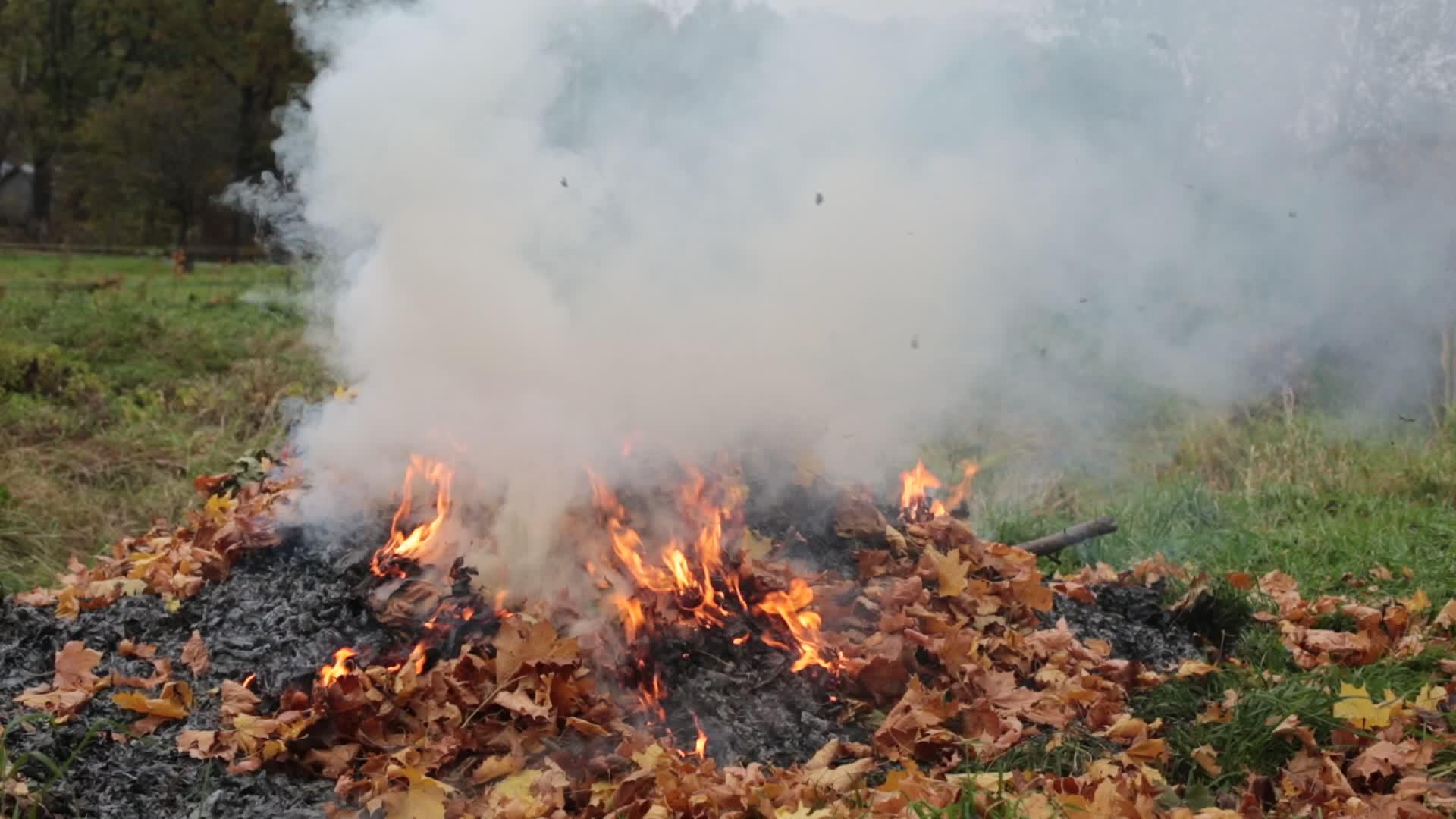秋冬燃烧叶壁炉视频的预览图