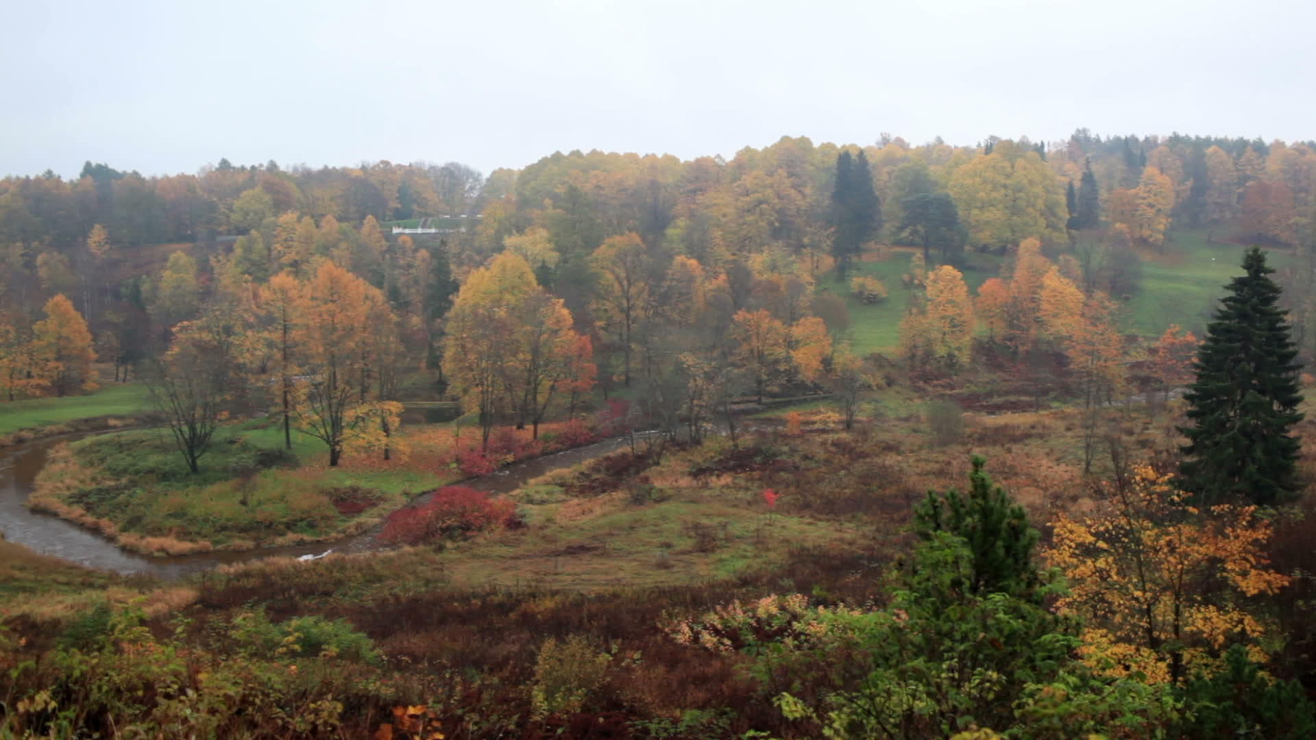 秋天的森林和弯曲的河流视频的预览图