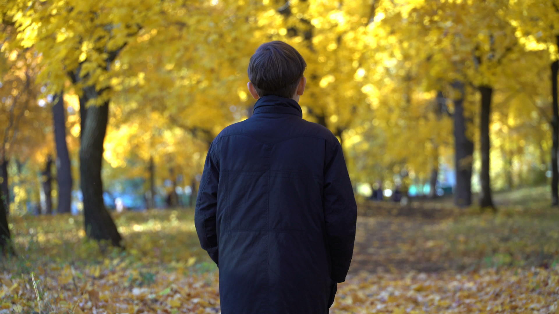 秋天公园里年轻人穿着黑色外套的视频被拍了下来视频的预览图