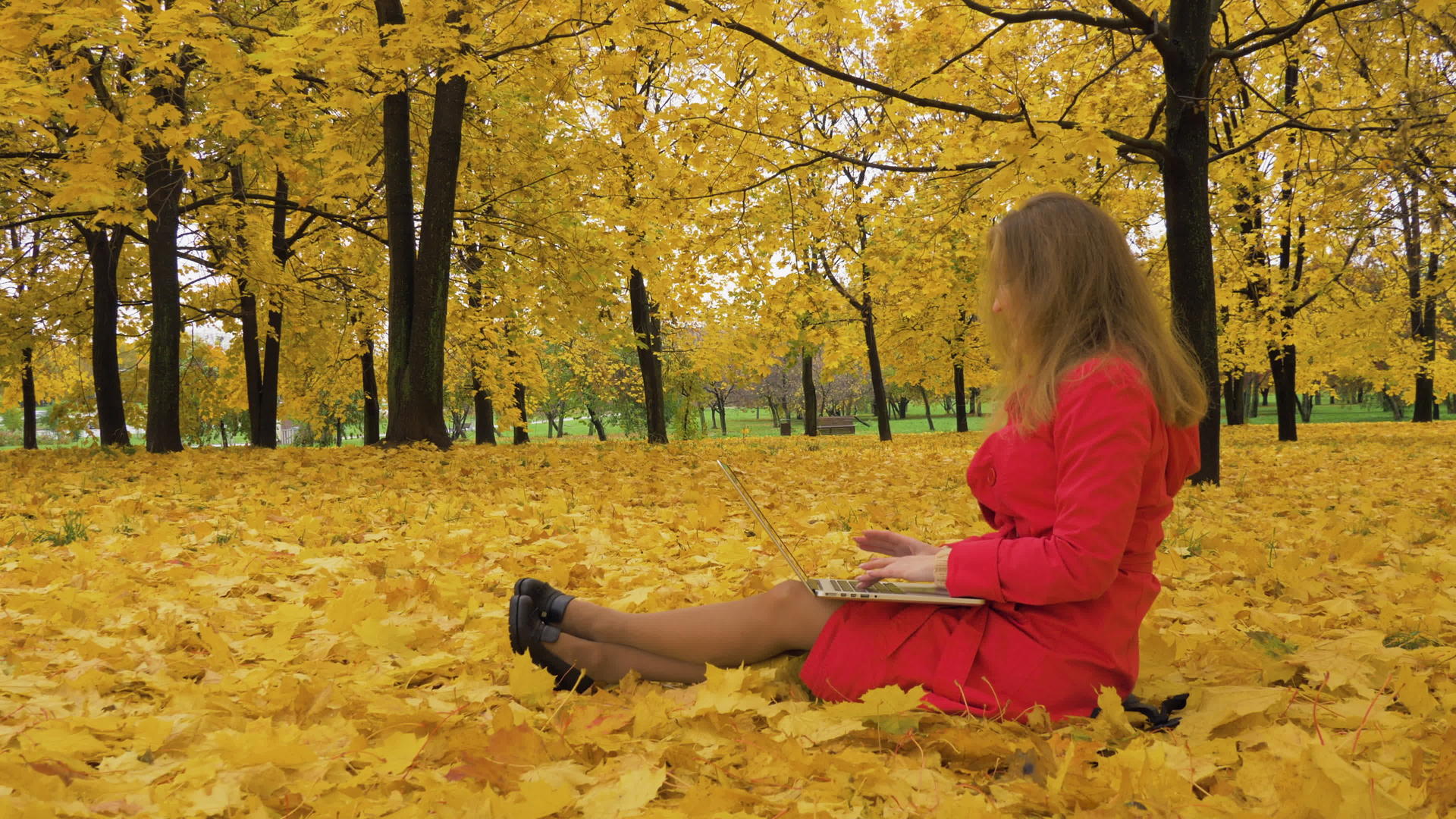 秋天穿着红色斗篷和长发的白人年轻女性坐在公园的黄色地图上视频的预览图