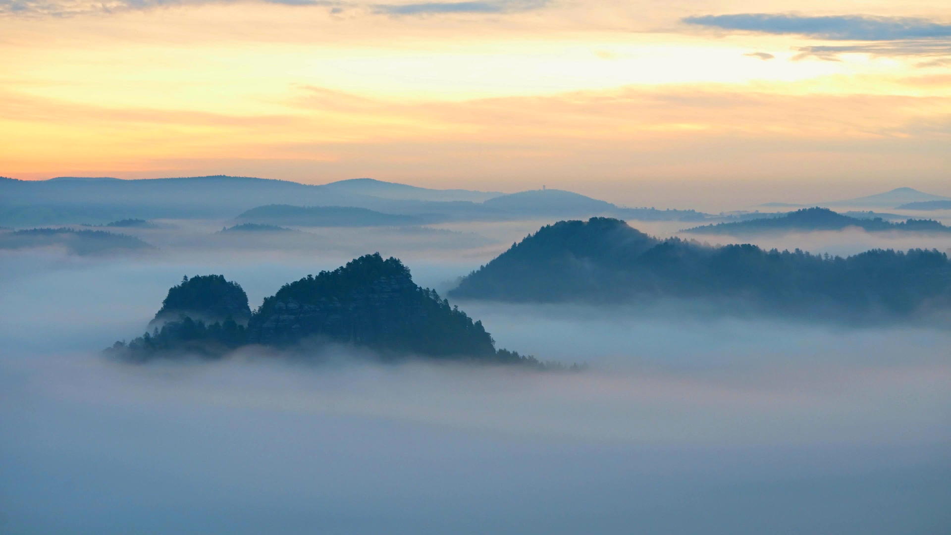 30fps在森林景观中春天的雾蒙蒙的早晨环顾四周视频的预览图