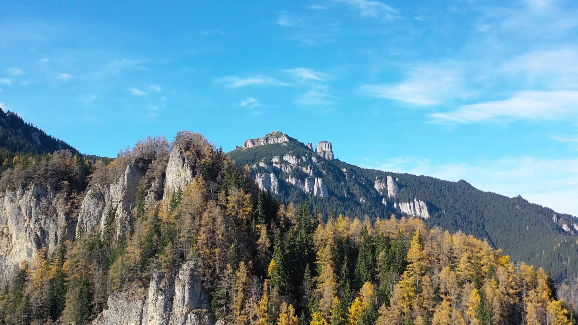 无人驾驶飞机在秋天离开美丽的山峰、森林、黄色的火炬树和视频的预览图
