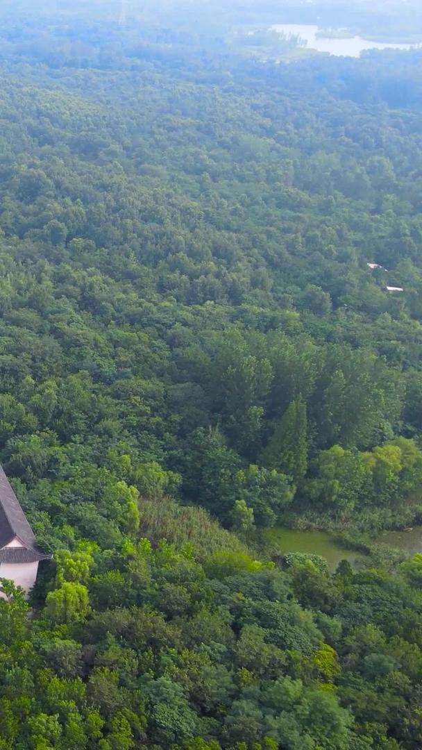 江苏三台山国家森林公园菩提寺4A景区航拍集合集合视频的预览图