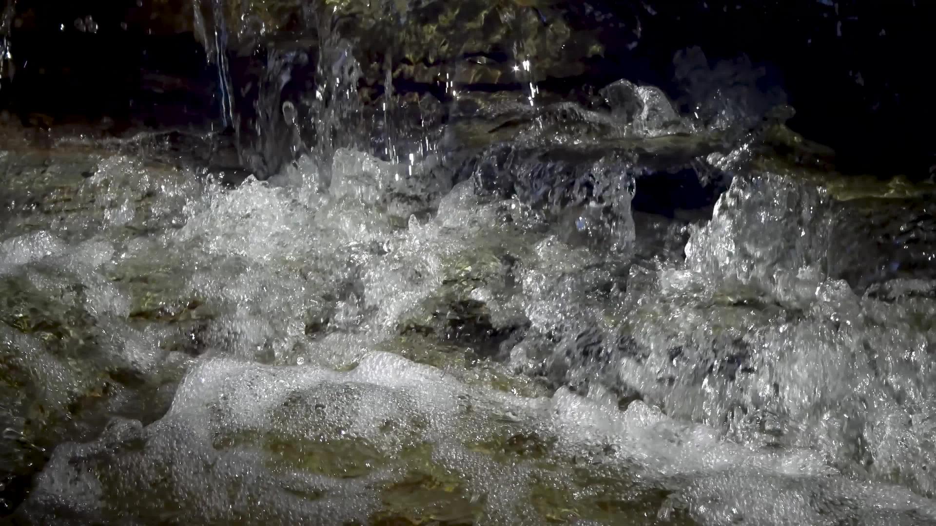 蓝色母鸡落在库亚霍加国家公园视频的预览图