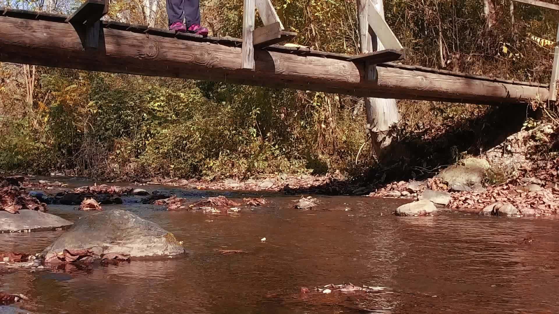 美丽的女人扔下秋叶站在木桥上慢慢移动视频的预览图