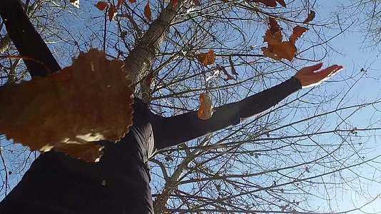 女人慢慢地把秋叶扔进空气中视频的预览图