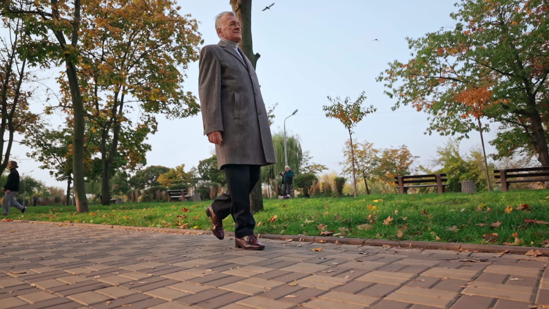 秋天高级老人在公园里漫步视频的预览图