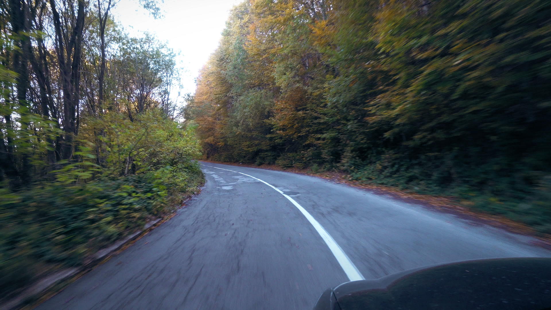 秋天在阿尔卑斯山公路旅行的第一个视角视频的预览图