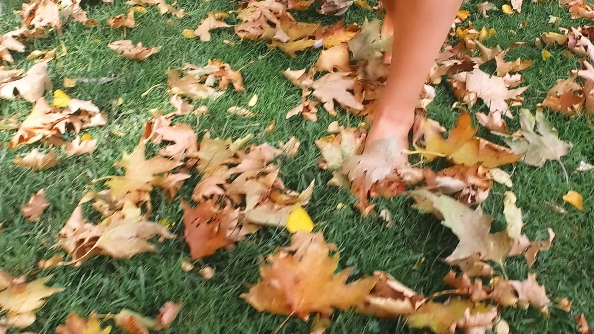 一个年轻的女人在秋天的公园里赤脚走在黄叶上慢动作射击视频的预览图