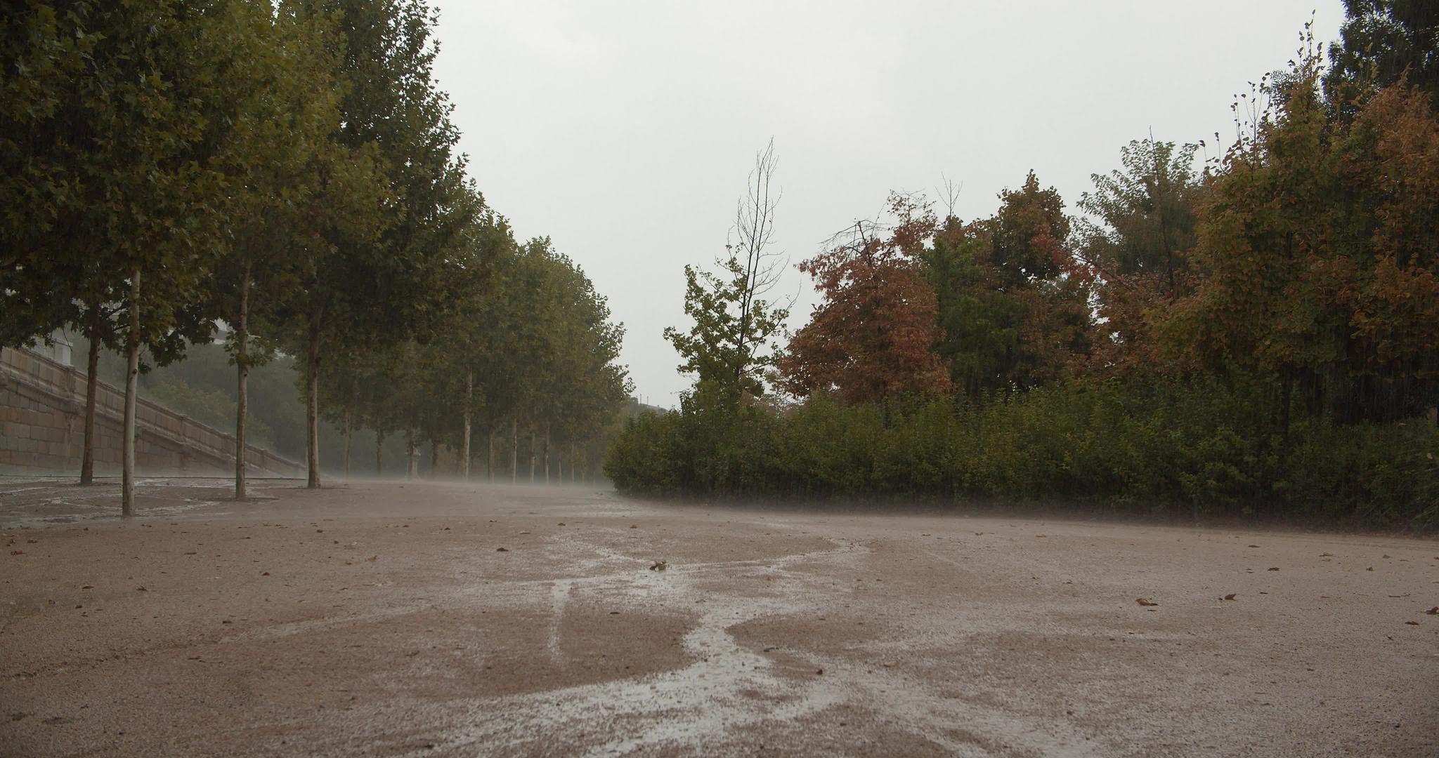 秋天下雨的时候在公园里视频的预览图