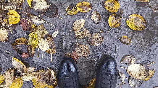 秋天人行道上有黄叶和皮鞋视频的预览图