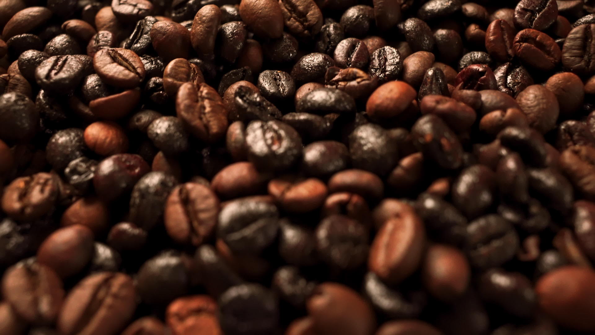 咖啡种子顶部视图视频的预览图