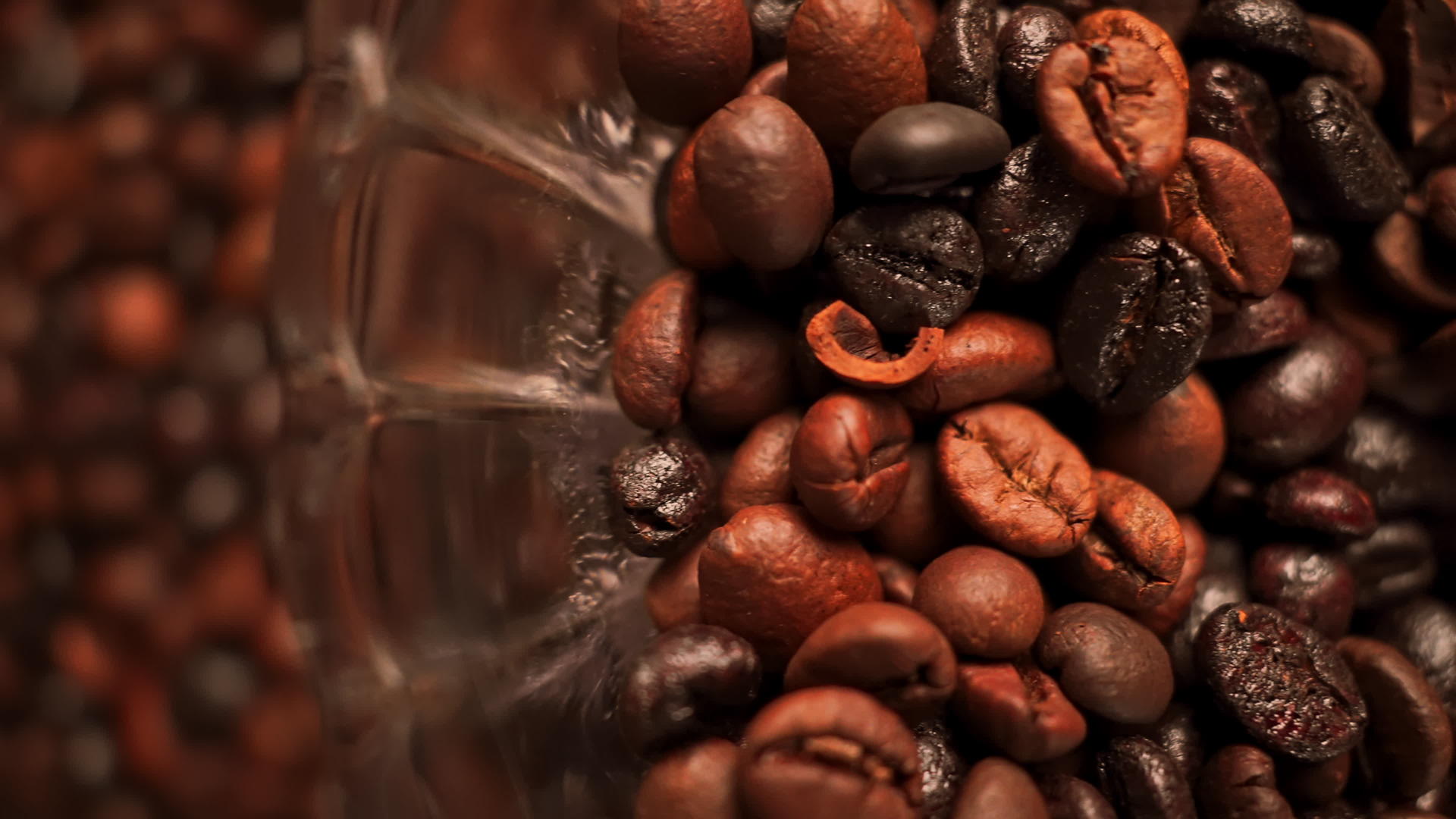 慢动咖啡种子上方的视图视频的预览图