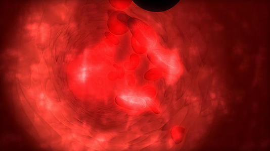 人类血细胞的医学动画视频的预览图