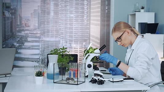 聪明的女科学家在化学实验室与显微镜合作的实验室外套中视频的预览图