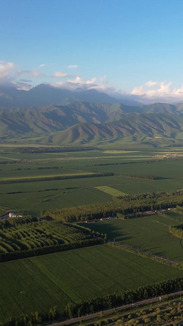 拍摄新疆天山山脉下一望无际的河谷草原视频视频的预览图