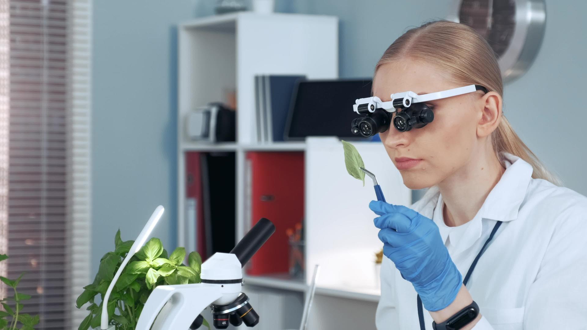 女性化学研究女性科学家在放大镜眼镜中密切接触以观察样本视频的预览图