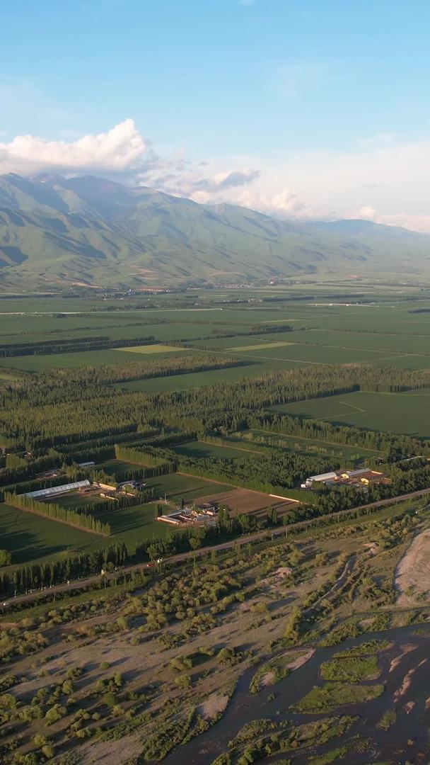 拍摄新疆天山山脉下一望无际的河谷草原视频视频的预览图