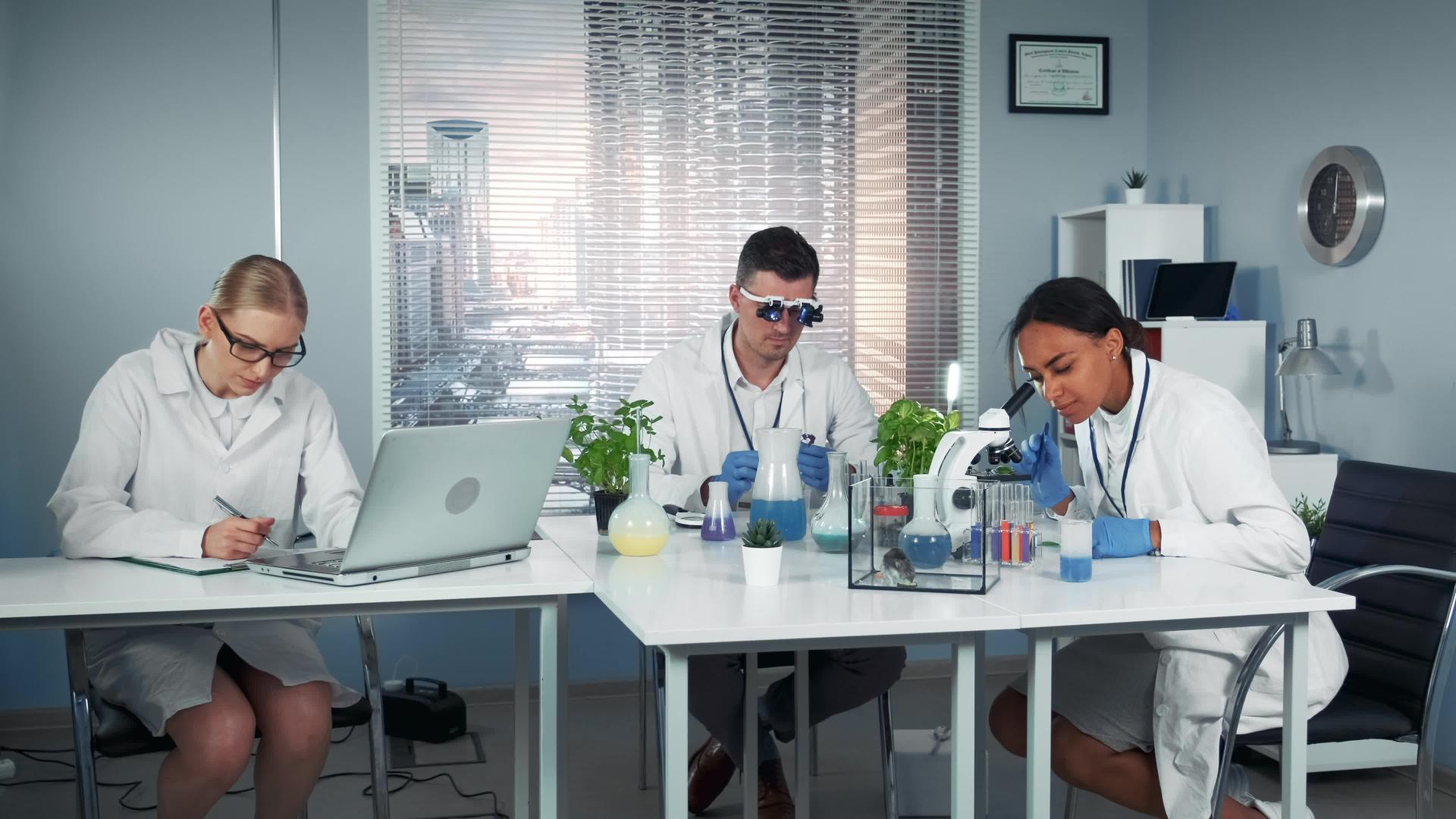 研究科学家混血团队在现代明亮化学实验室工作视频的预览图