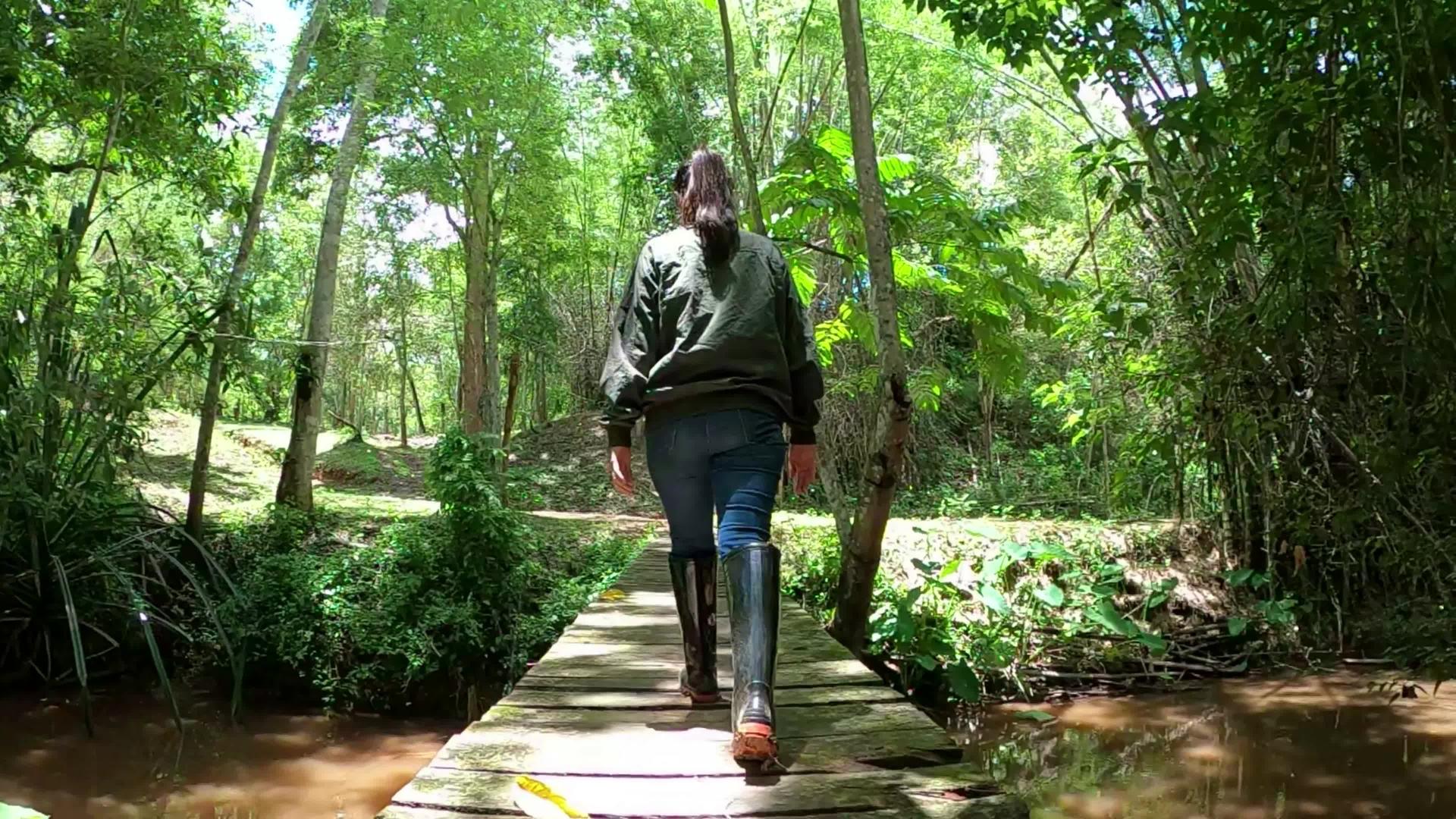 女人在森林木桥上慢慢地走着视频的预览图