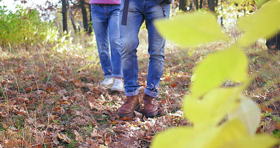 年轻夫妇穿着牛仔裤在自然树林里行走视频的预览图