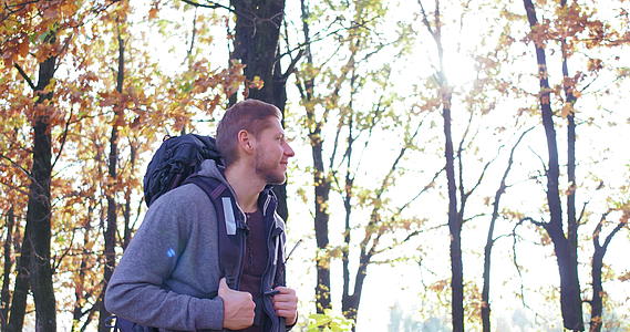 在阳光明媚的一天年轻游客带着背包在秋天的森林里散步caucasian视频的预览图