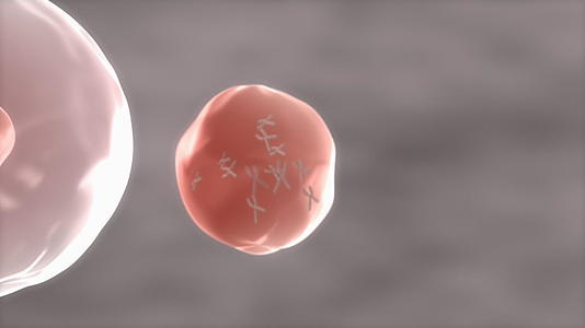 人体细胞染色体和DNA视频的预览图