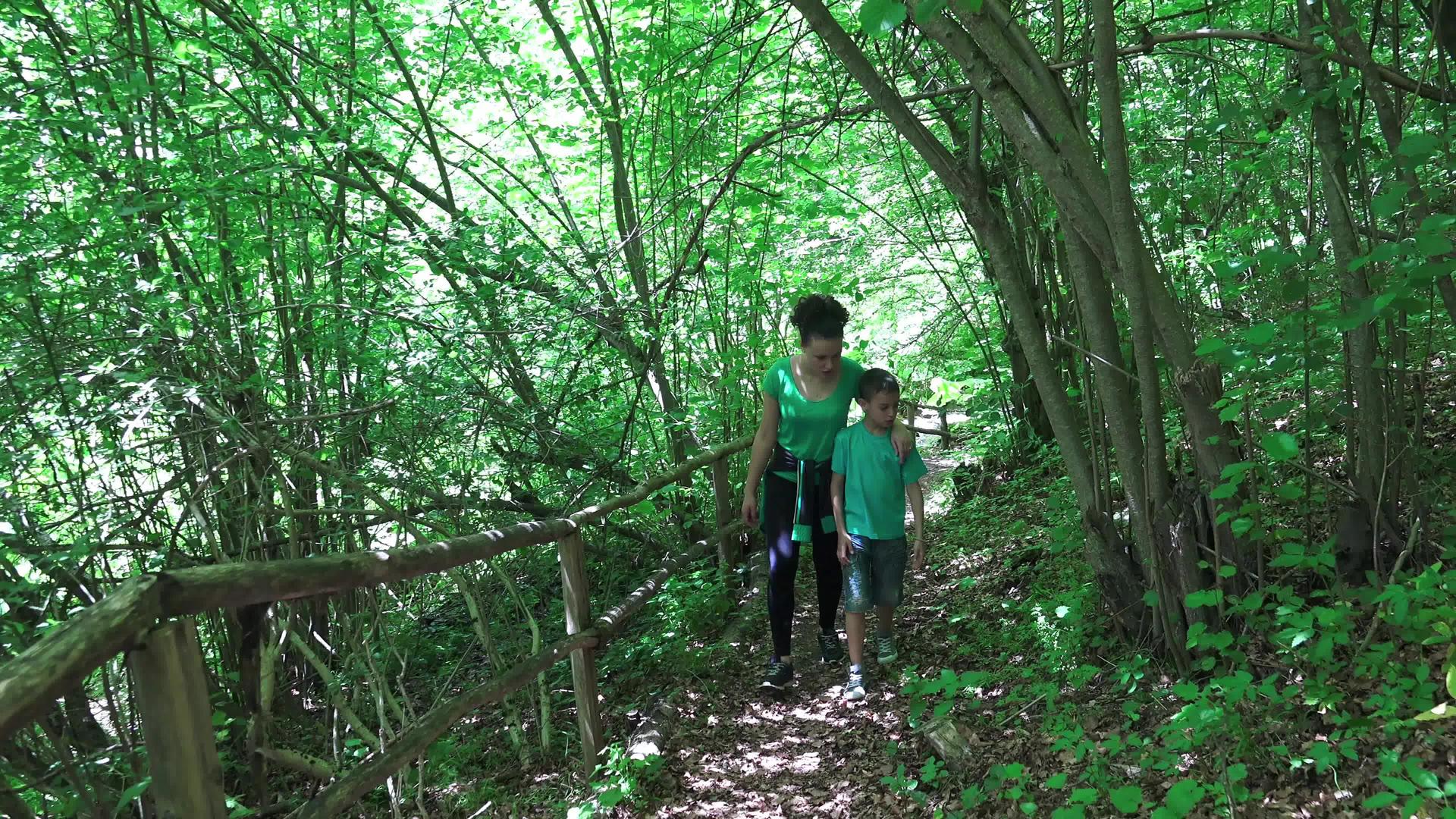 家庭健康生活兄弟姐妹在森林小径上徒步拥抱视频的预览图
