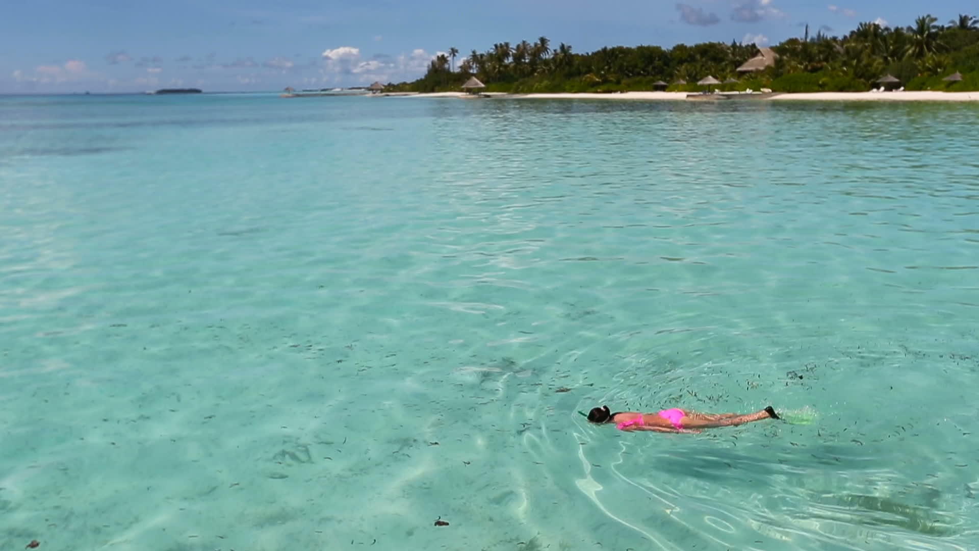 美丽的年轻女性在度假期间潜伏在热带水中视频的预览图