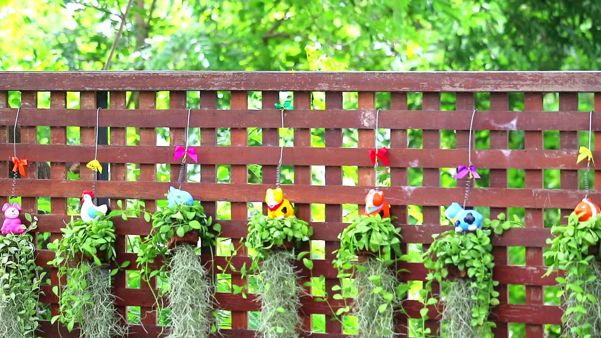 花园里挂着木栅栏、动物盆花和植物视频的预览图