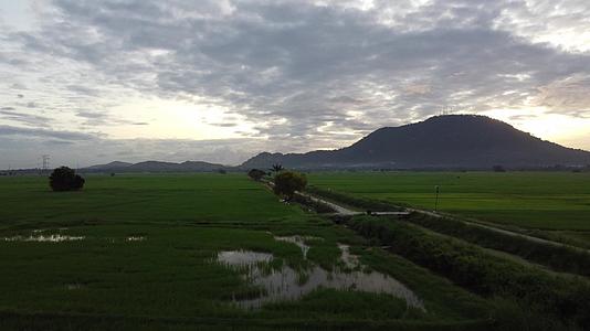 空中飞越稻田和农村道路视频的预览图