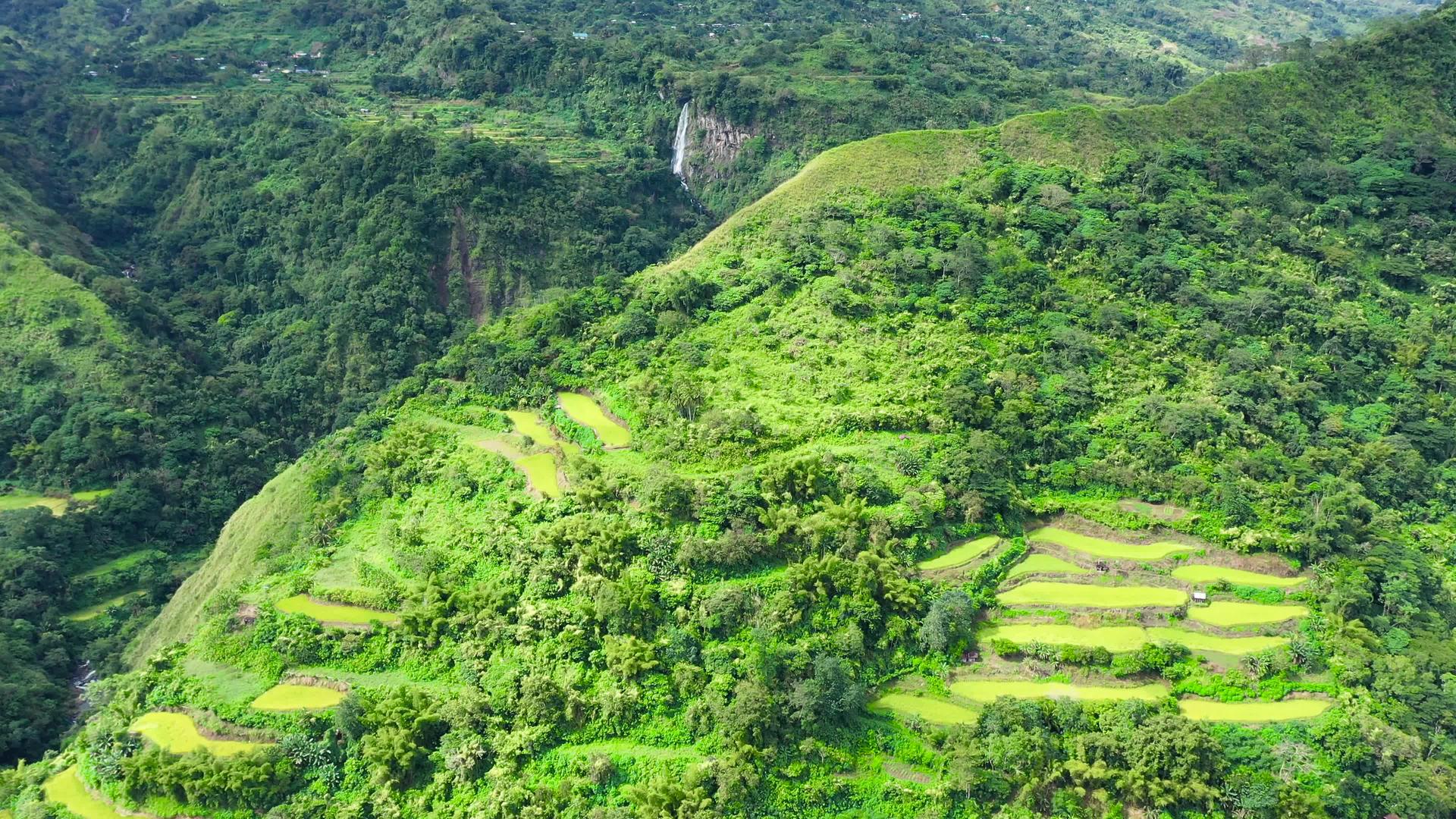 该村位于Philipppines一个北部水稻种植区视频的预览图