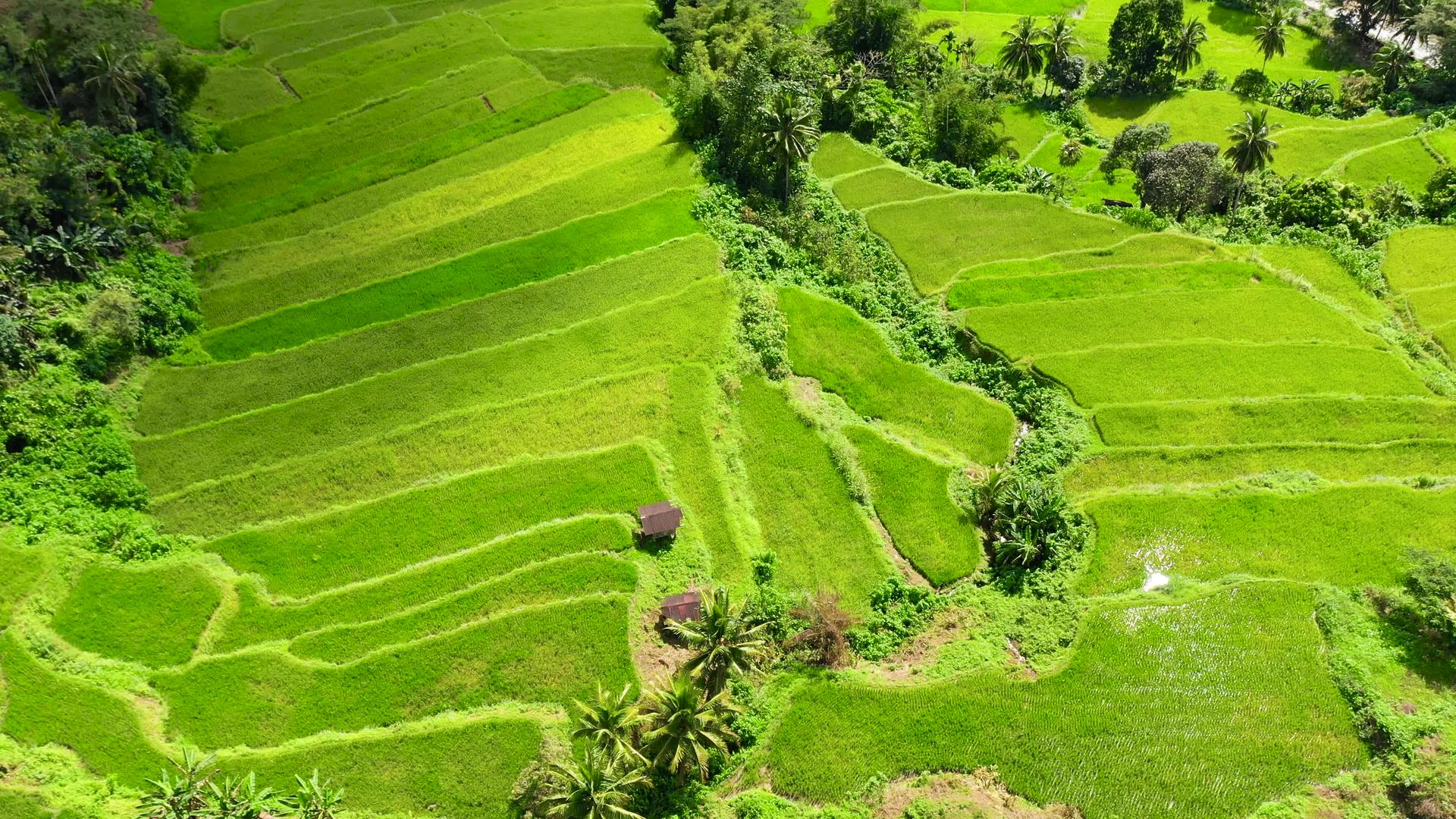该村位于Philipppines一个北部水稻种植区视频的预览图