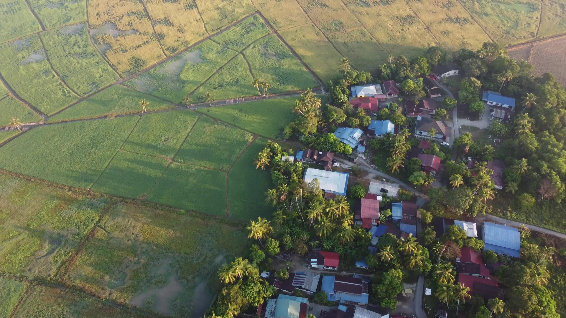 靠近稻田种植园malaysiakampung房屋视频的预览图
