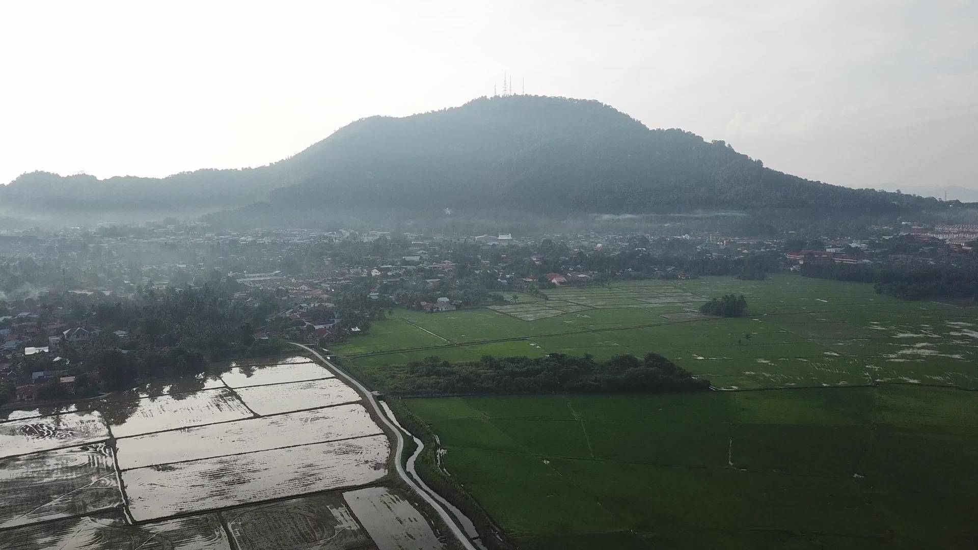 稻田在BukitMertajaham山前视频的预览图