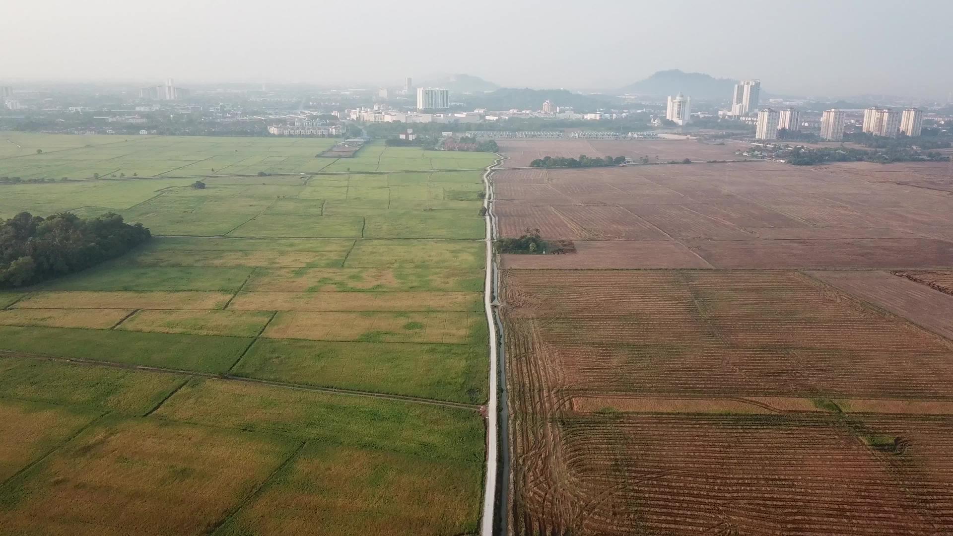 在Ppermatangpauh在空中观察稻田农场视频的预览图