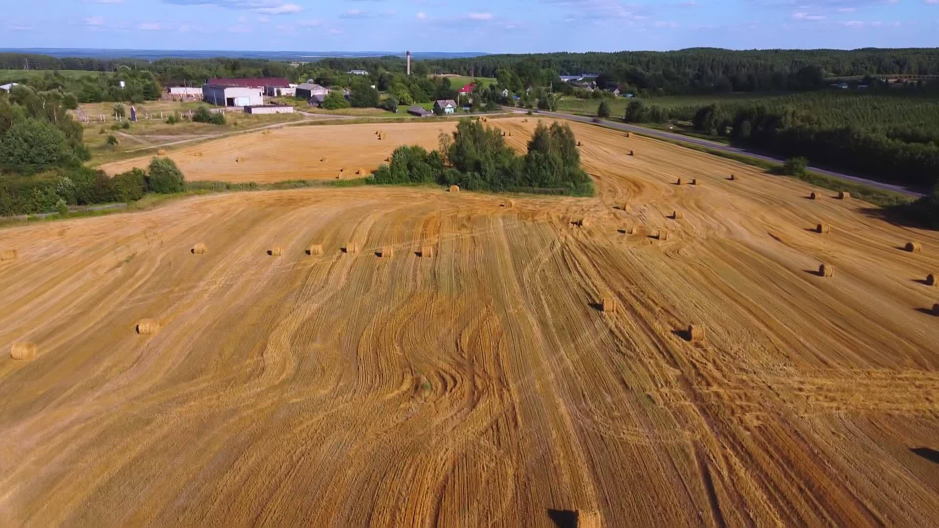 无人驾驶飞机飞越小麦或大麦的黄地沙洛姆篮子农业概念视频的预览图