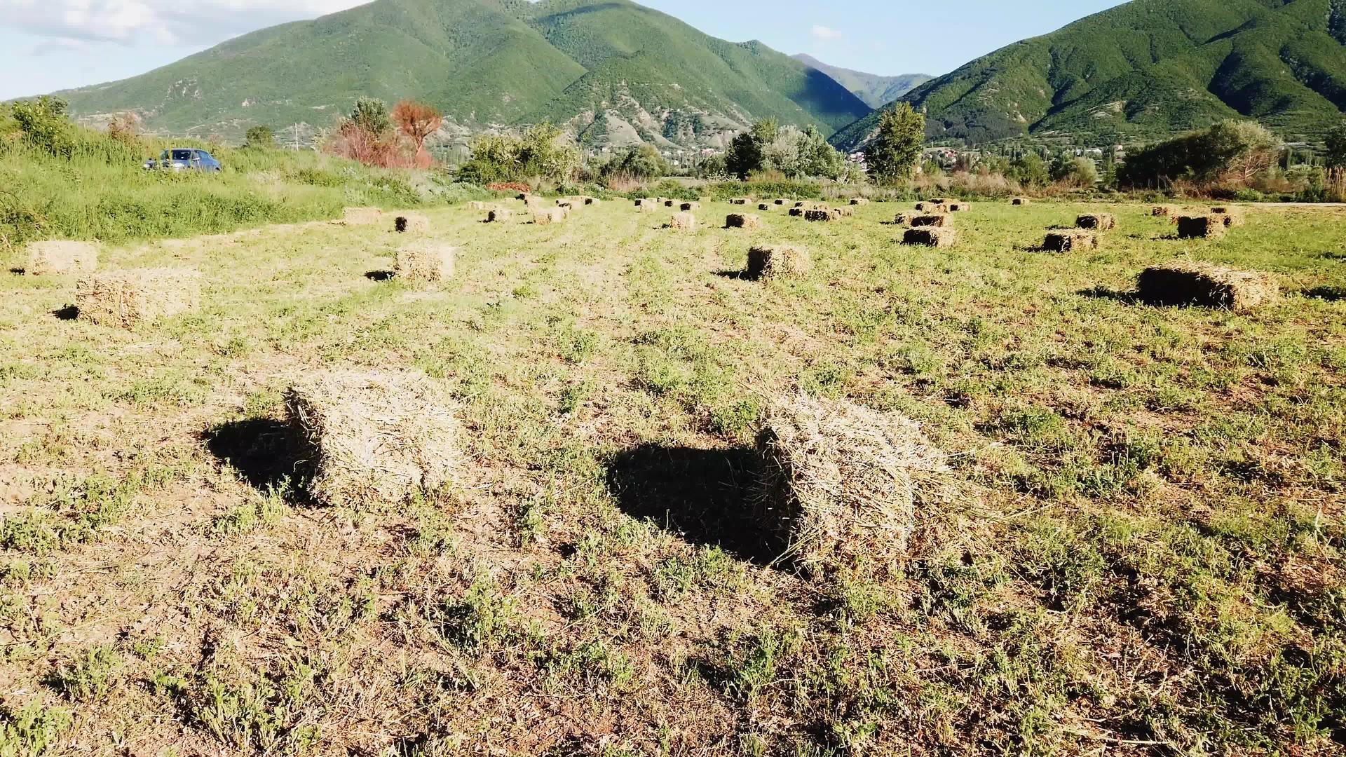 收割后田地上的干草捆在农业领域的金色田地景观中视频的预览图