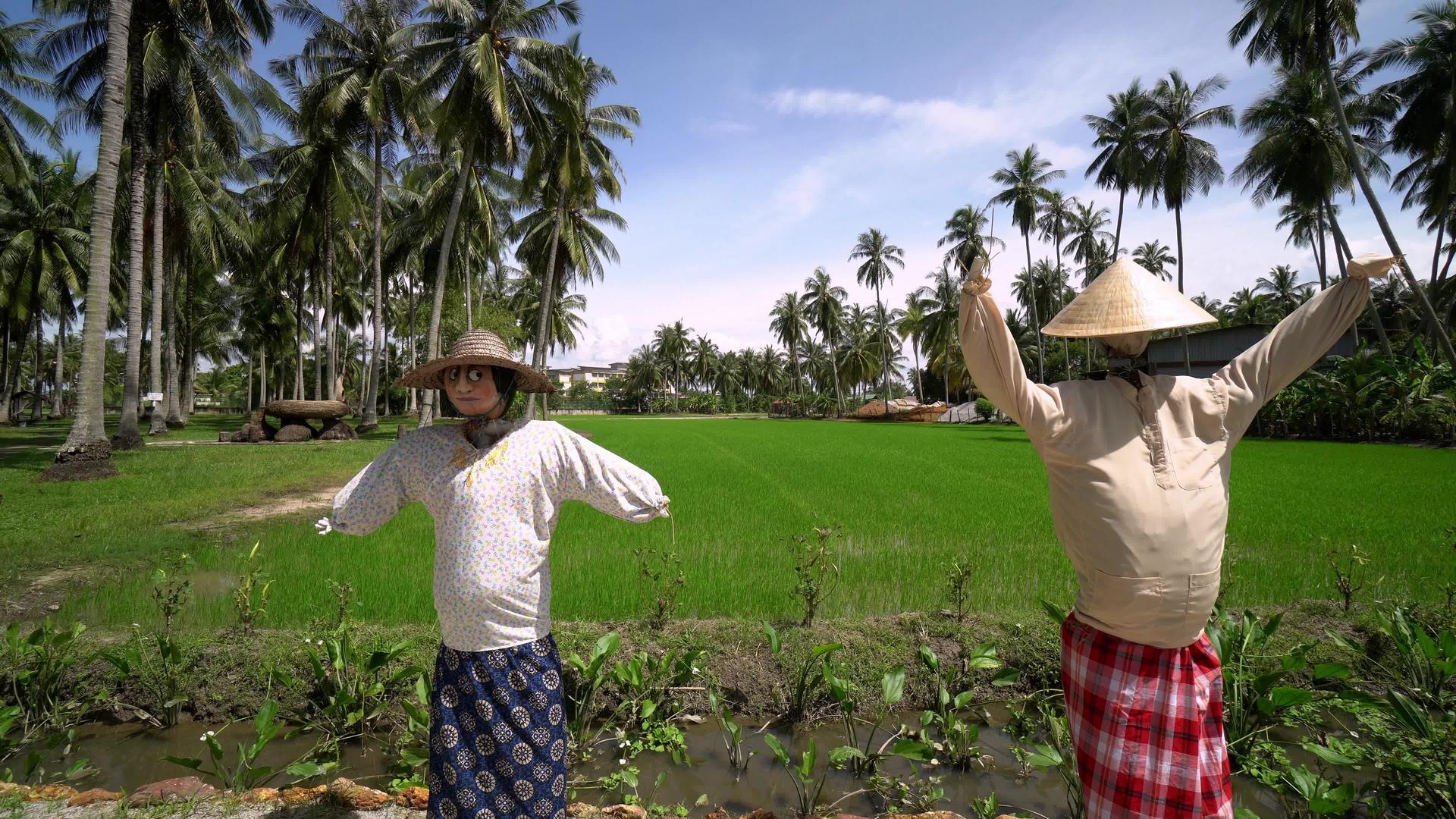 稻草人在农场装饰视频的预览图