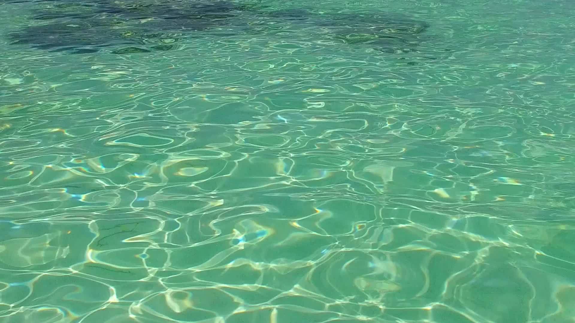 以浅海和白沙为背景的豪华海滨海滩之旅视频的预览图