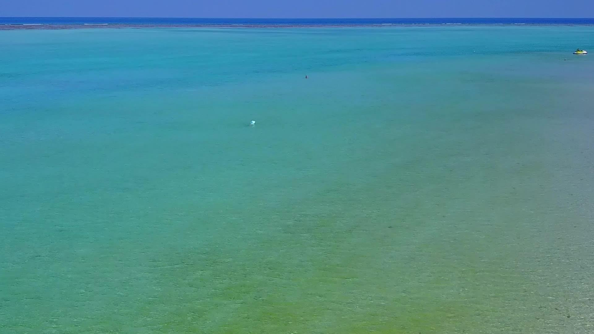 海洋海景海滩野生动物的空气纹理由干净的沙质背景和蓝色的水组成视频的预览图