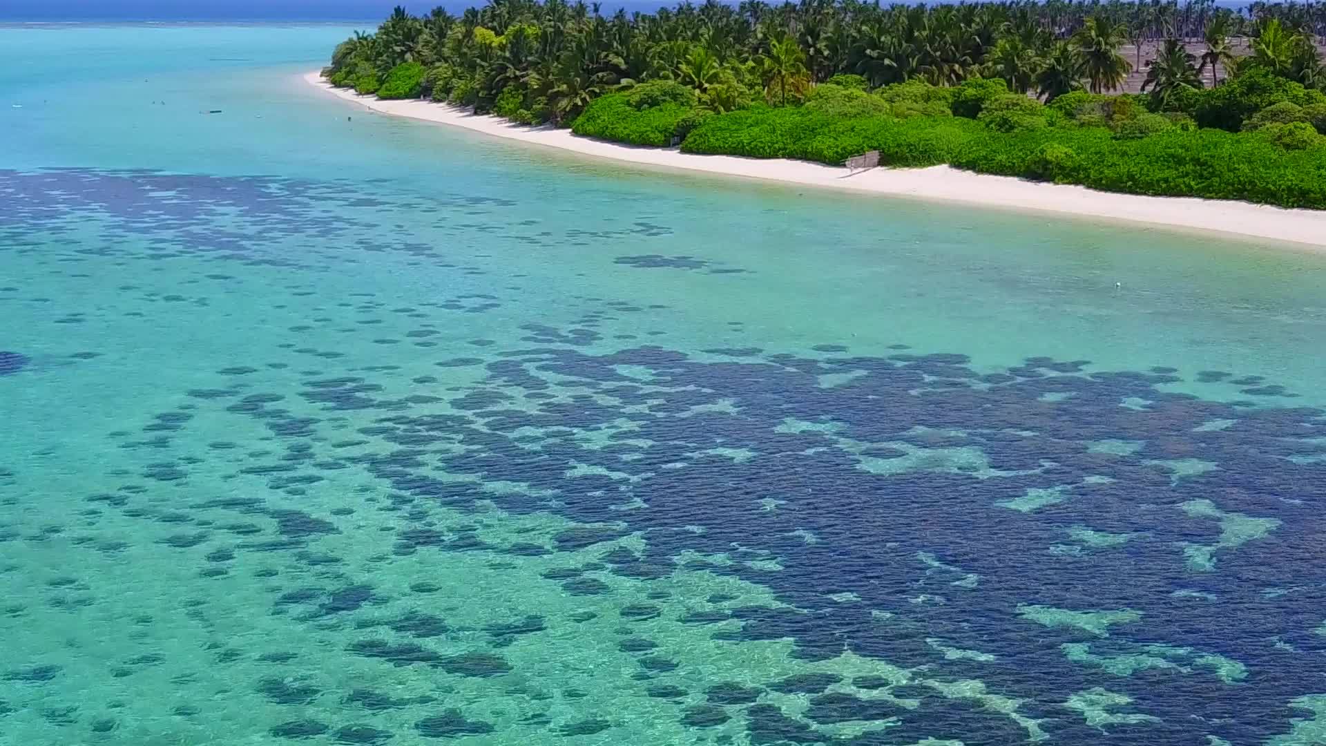 在浅海和亮沙的背景下安静的海景海滩冒险无人机海景视频的预览图