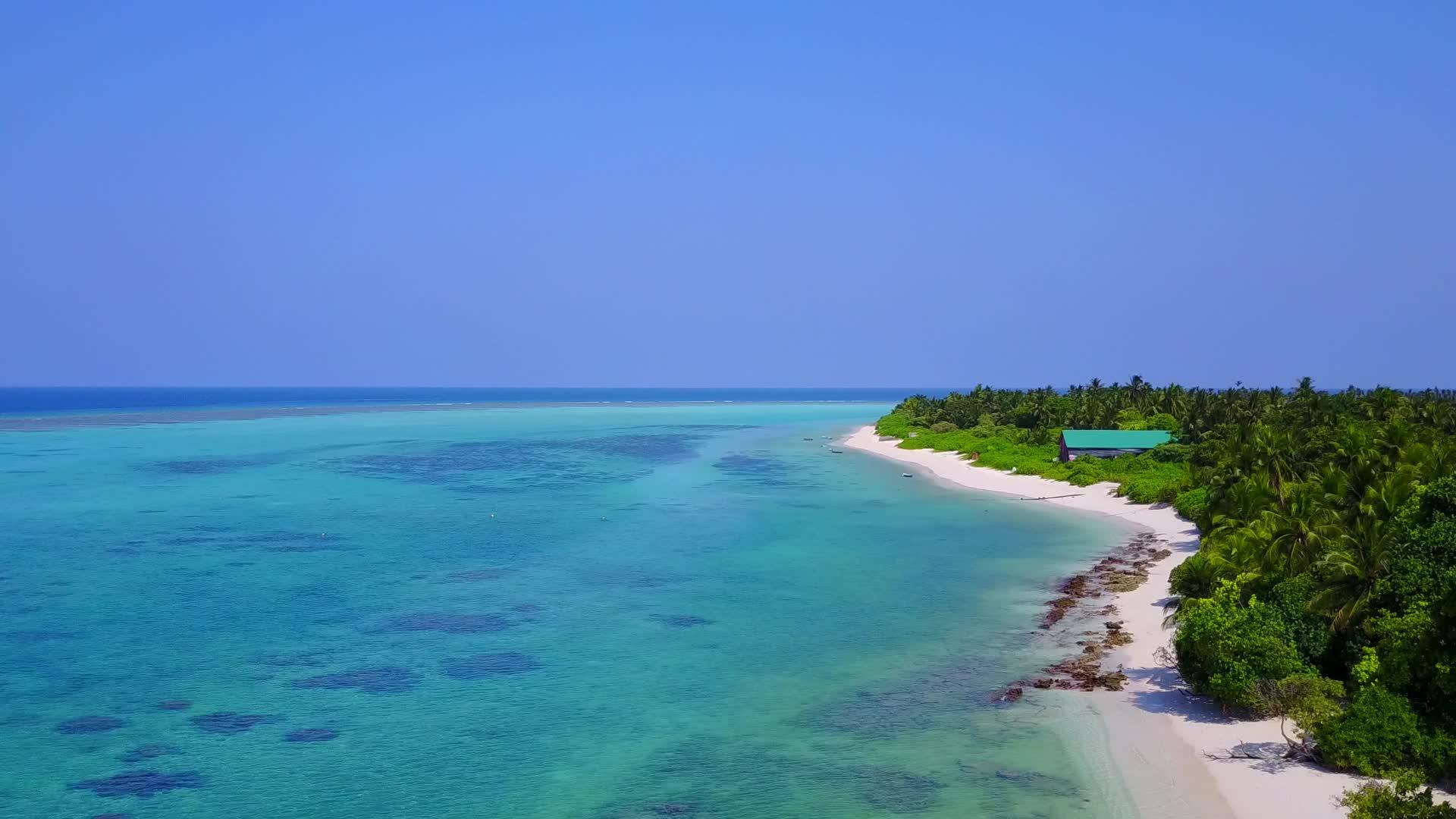 完美的海岸海滩野生生物通过蓝色海洋和白色沙尘的背景视频的预览图